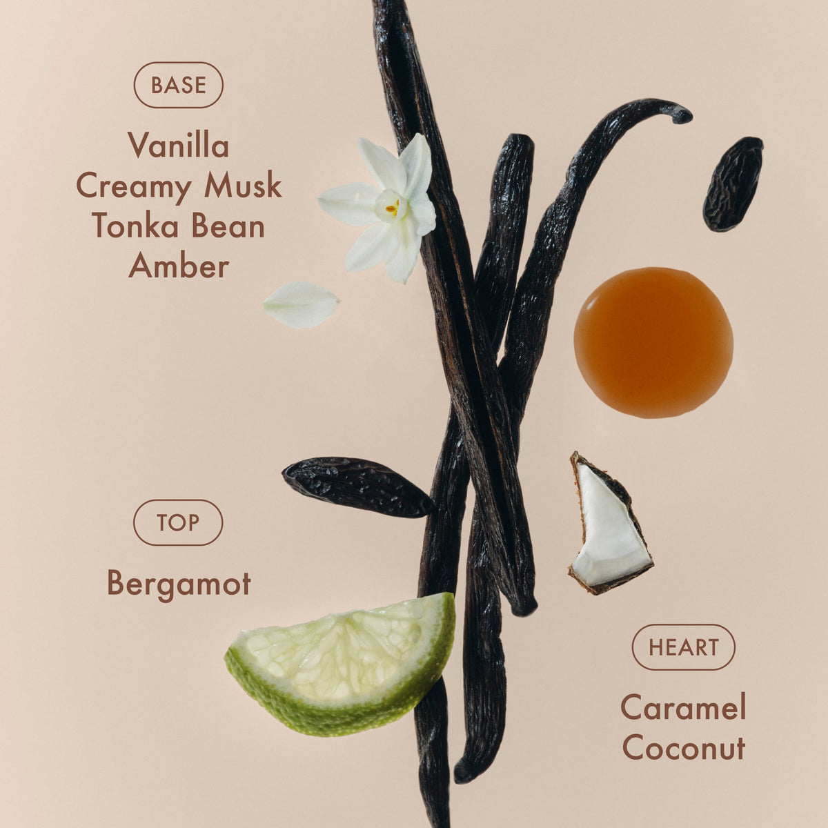 sunlit-vanillatm-eau-de-parfum-q4 SunlitVanilla_4.jpg